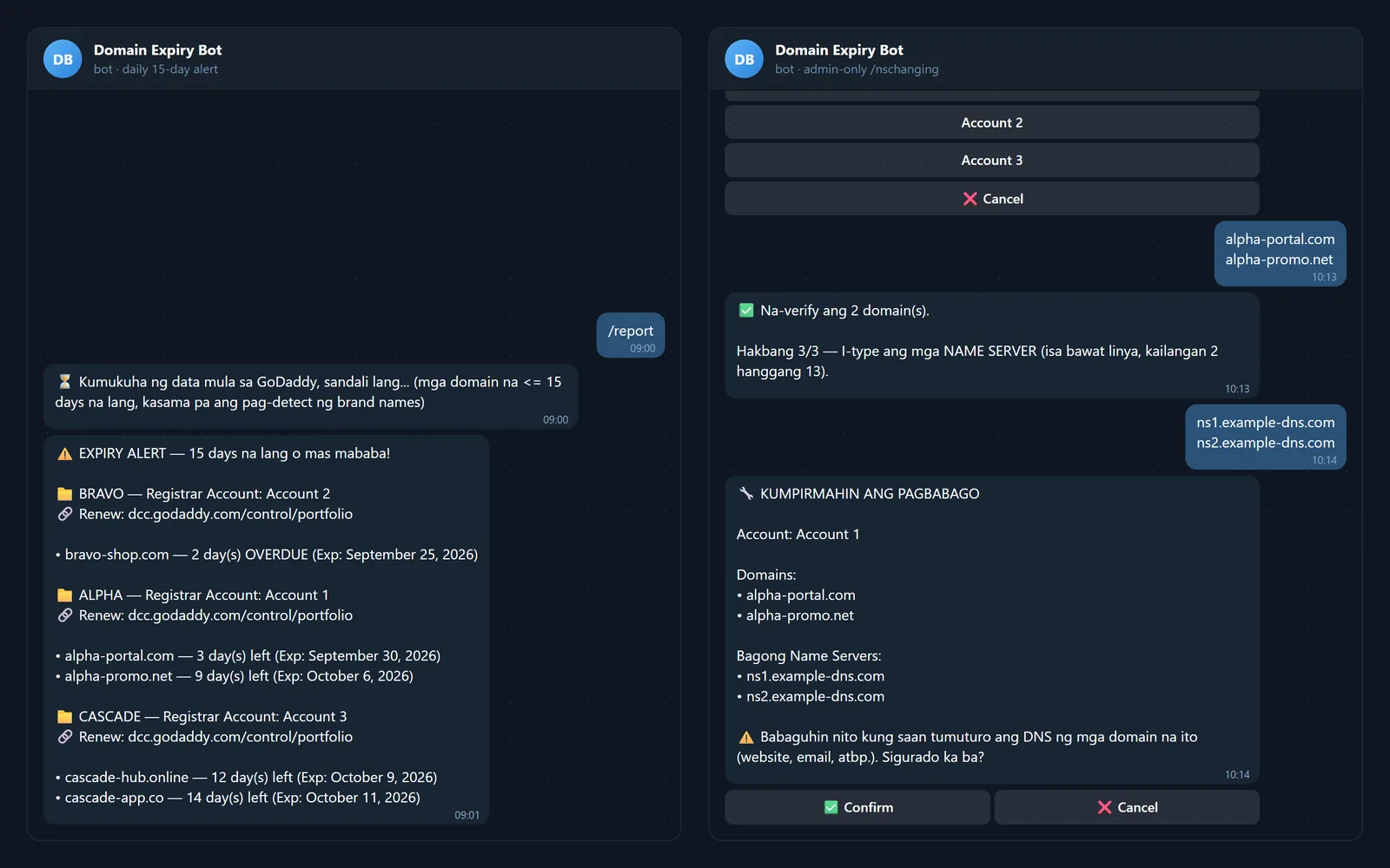 Domain Expiry & DNS Telegram Bot screenshot